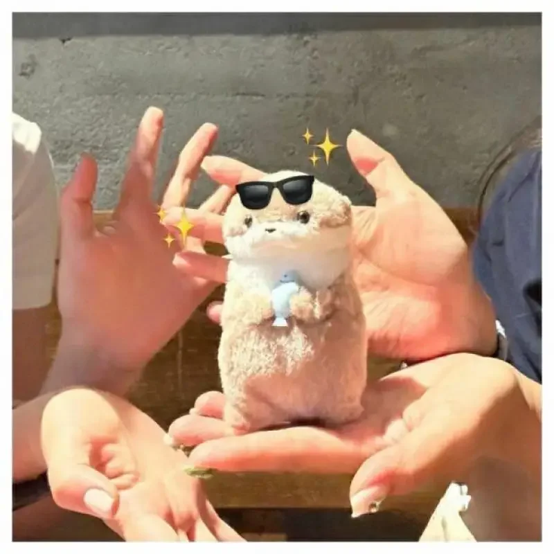 11 см Исцеляющая выдра, плюшевая игрушка, трендовая плюшевая кукла, милая плюшевая игрушка, украшение для рабочего стола, подарок на день рождения для девочек, рождественские подарки
11 см Исцеляющая выдра, плюшевая игрушка, трендовая плюшевая кукла, милая плюшевая игрушка, украшение для рабочего стола, подарок на день рождения для девочек, рождественские подарки