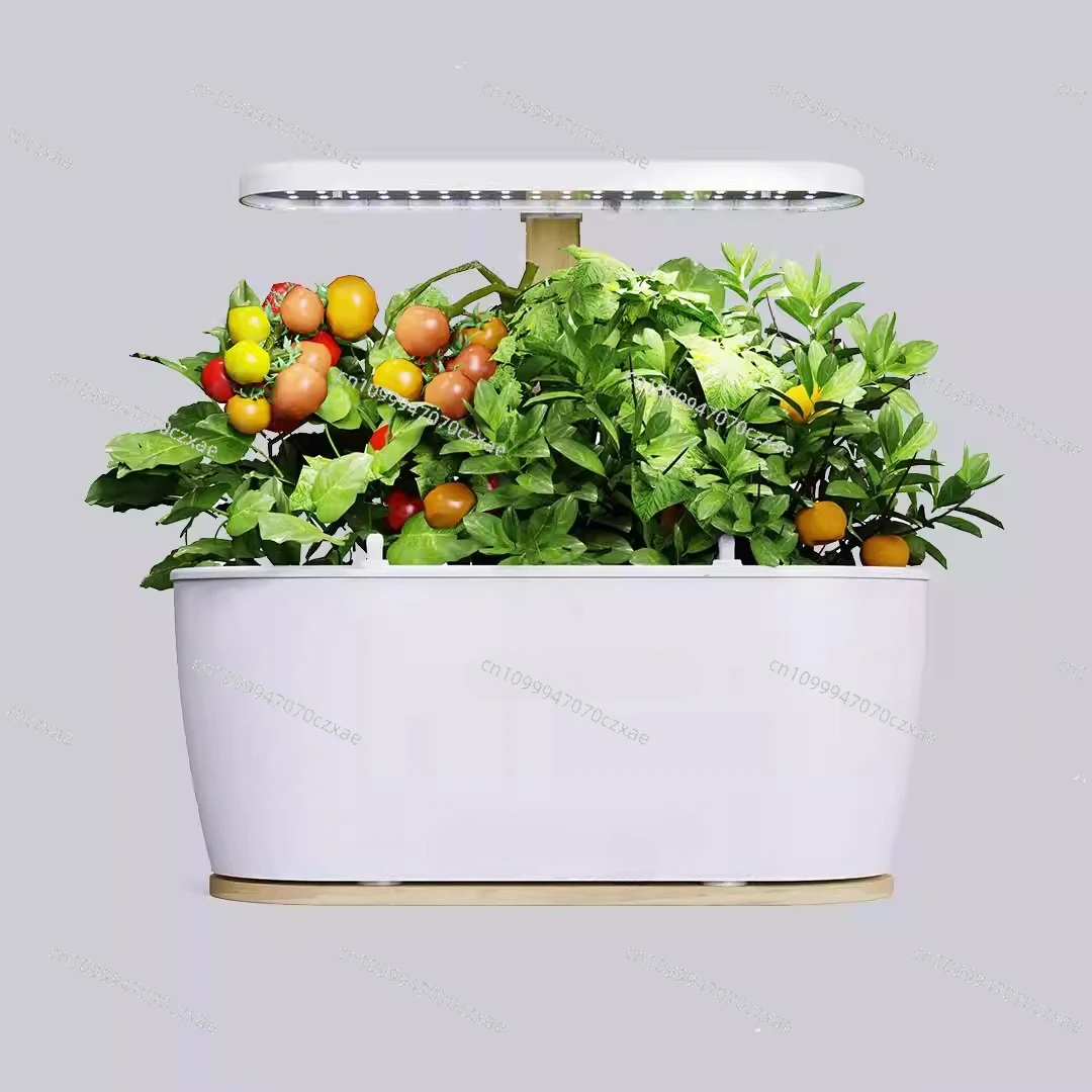Smart Flower Pot, Real-time Viewing, Automatic Watering and Lighting)
Smart Flower Pot, Real-time Viewing, Automatic Watering and Lighting)