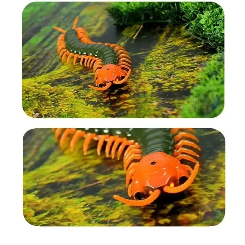Simulation Remote Control Infrared Remote Control Centipede Beetle Toy Robot Prank Prop Insect Electronic Pet Toy Gift
Simulation Remote Control Infrared Remote Control Centipede Beetle Toy Robot Prank Prop Insect Electronic Pet Toy Gift