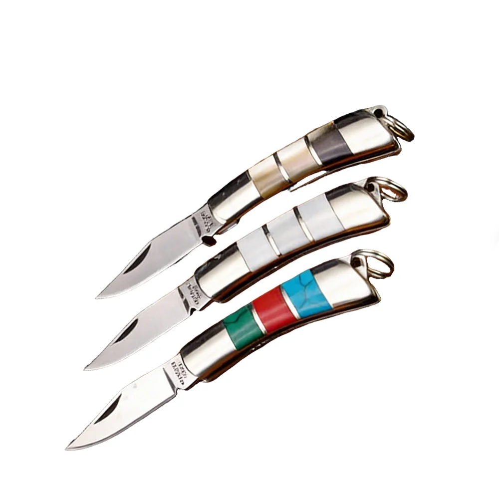 Stainless Steel Folding Pocket Keychain Knife, Versatile Handle Options, Lightweight Portable EDC Tool for Daily & Outdoor Use
Stainless Steel Folding Pocket Keychain Knife, Versatile Handle Options, Lightweight Portable EDC Tool for Daily & Outdoor Use