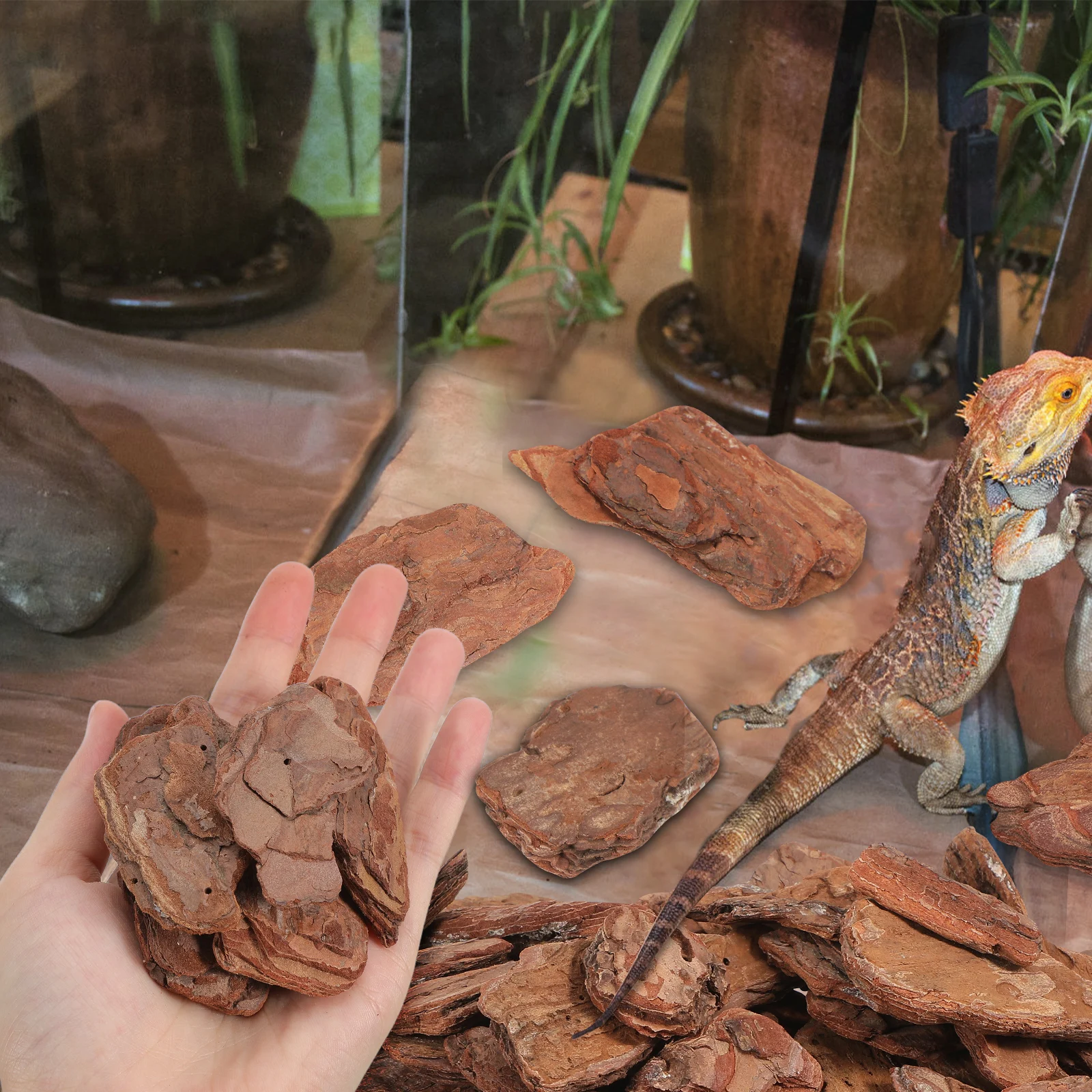 Landscaping Cushion Material Terrarium Bed Linings Cork Bark Bulk for Reptiles
Landscaping Cushion Material Terrarium Bed Linings Cork Bark Bulk for Reptiles
