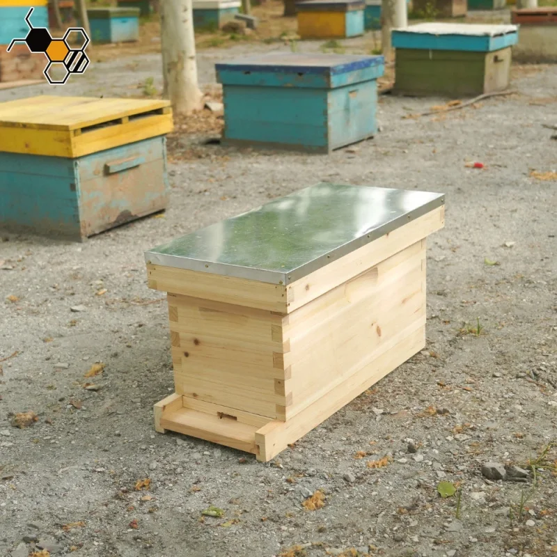 5 Frames Boxes Beekeeping Wooden Bee Nuc Box
5 Frames Boxes Beekeeping Wooden Bee Nuc Box