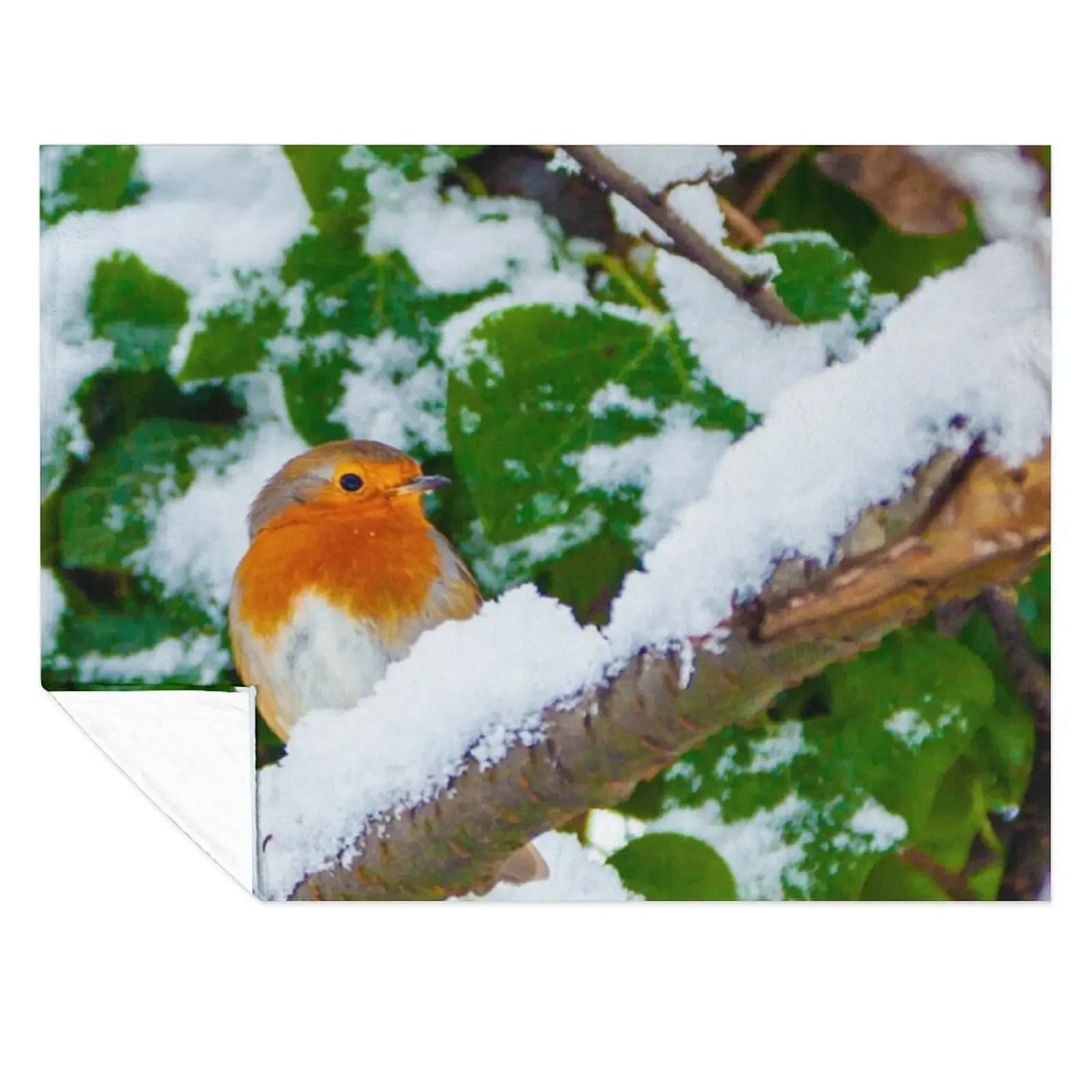 Robin in the Snow Throw Blanket Decorative Sofa Quilt For Baby Hairy Blankets
Robin in the Snow Throw Blanket Decorative Sofa Quilt For Baby Hairy Blankets