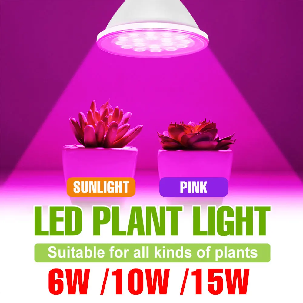 E27/E26 LED Full Spectrum Grow Light Bulb Indoor Hydroponic Flower Seeds Vegetables Succulent Plants Cultivation Lamp 5W 10W 15W
E27/E26 LED Full Spectrum Grow Light Bulb Indoor Hydroponic Flower Seeds Vegetables Succulent Plants Cultivation Lamp 5W 10W 15W