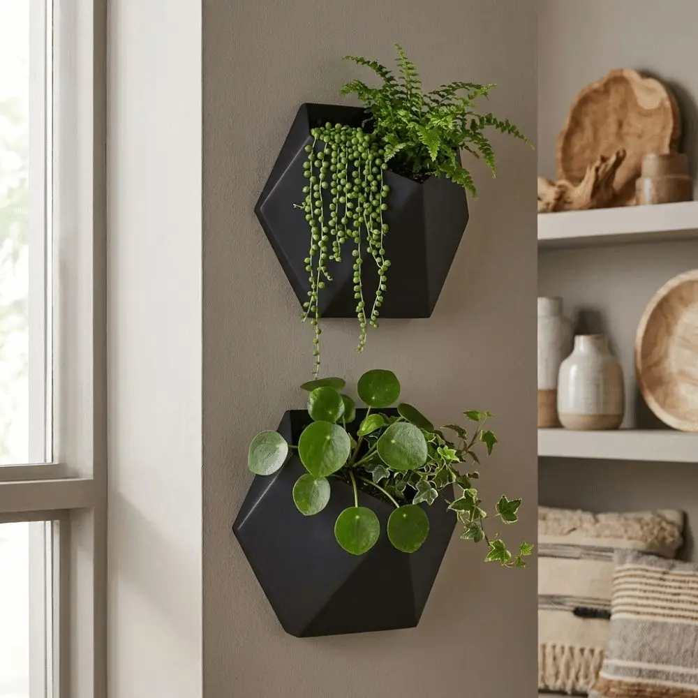 Geometric Hexagonal Flower Pot 3D Printed Decorative Succulent Plant Basin Wall-Mounted Wall Hanging Planter
Geometric Hexagonal Flower Pot 3D Printed Decorative Succulent Plant Basin Wall-Mounted Wall Hanging Planter