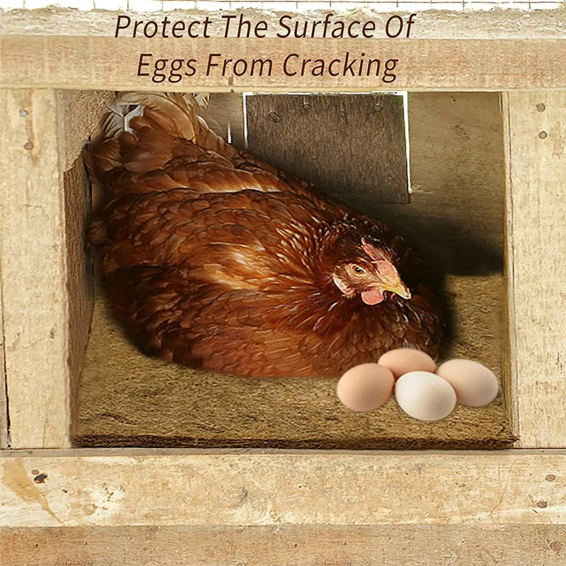 LALA 10 упаковок многоразовых подушечек для курицы, 13 x 13 дюймов из натурального кокосового волокна для садового газона на открытом воздухе
LALA 10 упаковок многоразовых подушечек для курицы, 13 x 13 дюймов из натурального кокосового волокна для садового газона на открытом воздухе