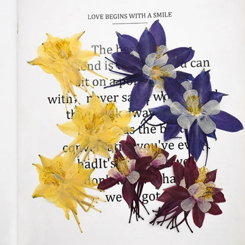 12 Dried Flowers Pressed into Face-Shaped Flowers, Real Flower Bookmarks, Photo Frames, Plant Specimens, Resin Crafts, Pressed Flower Material Kit, Buttercup
12 Dried Flowers Pressed into Face-Shaped Flowers, Real Flower Bookmarks, Photo Frames, Plant Specimens, Resin Crafts, Pressed Flower Material Kit, Buttercup