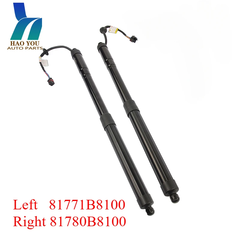 81771B8100 81780B8100 Rear Left Right Electric Tailgate Lift Support For Hyundai Santa Fe 2013-2019
81771B8100 81780B8100 Rear Left Right Electric Tailgate Lift Support For Hyundai Santa Fe 2013-2019