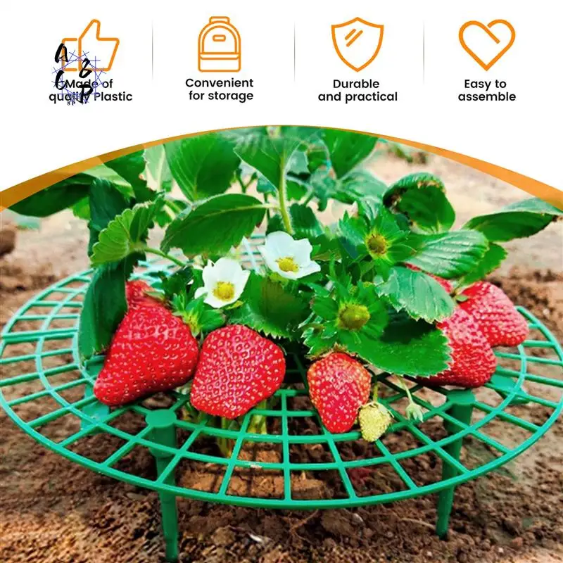 A68P-15 Pack Strawberry Plant Supports Strawberry Growing Support Rack Avoid Rot Frame Lightweight Strawberry Growing Tool
A68P-15 Pack Strawberry Plant Supports Strawberry Growing Support Rack Avoid Rot Frame Lightweight Strawberry Growing Tool