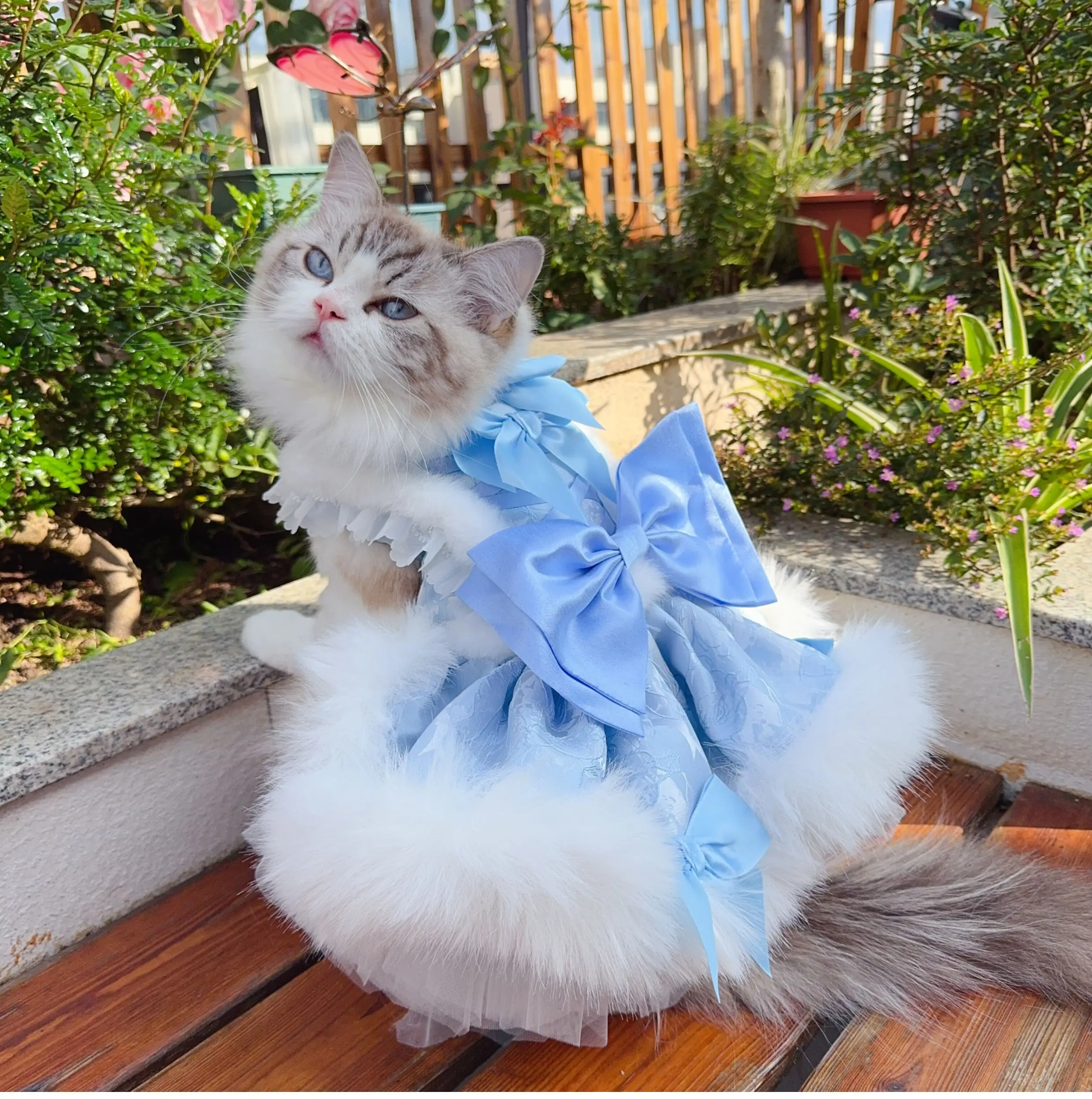 Korean Style Pink/Blue Plush Princess Dress for Small/Medium Dogs Cute Bow Detail Winter Pet Clothing for Chihuahua Puppy Cats
Korean Style Pink/Blue Plush Princess Dress for Small/Medium Dogs Cute Bow Detail Winter Pet Clothing for Chihuahua Puppy Cats