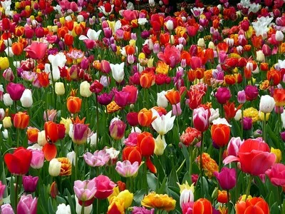 New Car Windshield Sunshade Cover for Nissan Frontier 2022-2025 Auto Front Window Sun Visor UV Protection Accessories
New Car Windshield Sunshade Cover for Nissan Frontier 2022-2025 Auto Front Window Sun Visor UV Protection Accessories