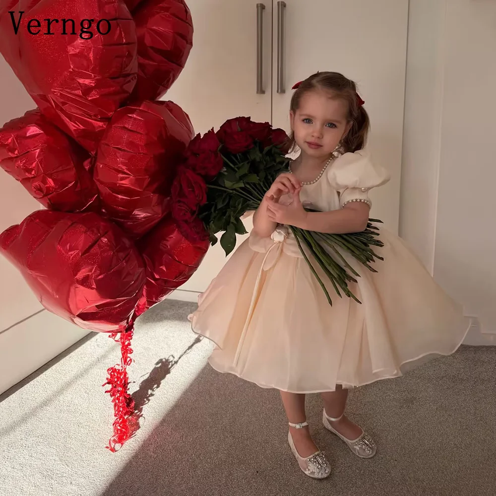 Verngo Champagne Organza Girl Birthday Party Dress O Neck Princess A Line Sequined Pleated Kid Flowers Dress Customized
Verngo Champagne Organza Girl Birthday Party Dress O Neck Princess A Line Sequined Pleated Kid Flowers Dress Customized