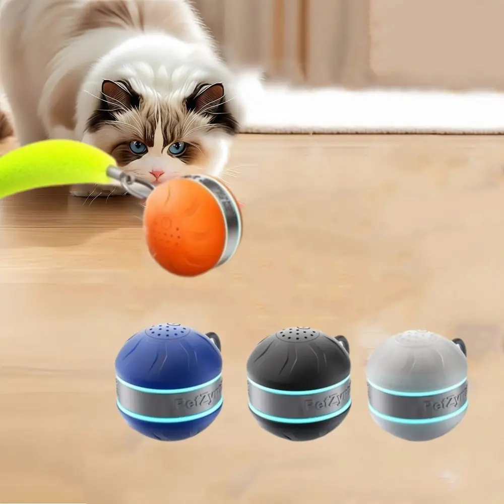 USB Rechargeable Interactive Cat Toy Ball Bite Resistant Anti-Depression Auto Electric Rolling Ball Toys with Tail Rotating
USB Rechargeable Interactive Cat Toy Ball Bite Resistant Anti-Depression Auto Electric Rolling Ball Toys with Tail Rotating