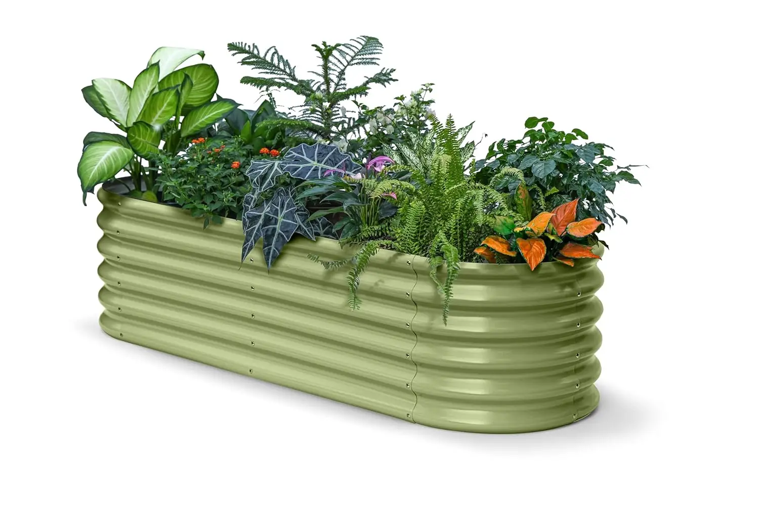 6x2x1.5 ft Galvanized Raised Garden Bed, 18" Tall Metal Raised Planters for Outdoor Plants, Vegetables, Herbs,, Customized
6x2x1.5 ft Galvanized Raised Garden Bed, 18" Tall Metal Raised Planters for Outdoor Plants, Vegetables, Herbs,, Customized