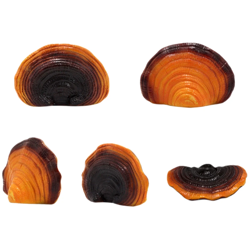 Resin Simulated Ganoderma Lawn naments Micro Mushroom Statue L Plants Figurine Decor Garden Resin Craft Home Yard Park
Resin Simulated Ganoderma Lawn naments Micro Mushroom Statue L Plants Figurine Decor Garden Resin Craft Home Yard Park