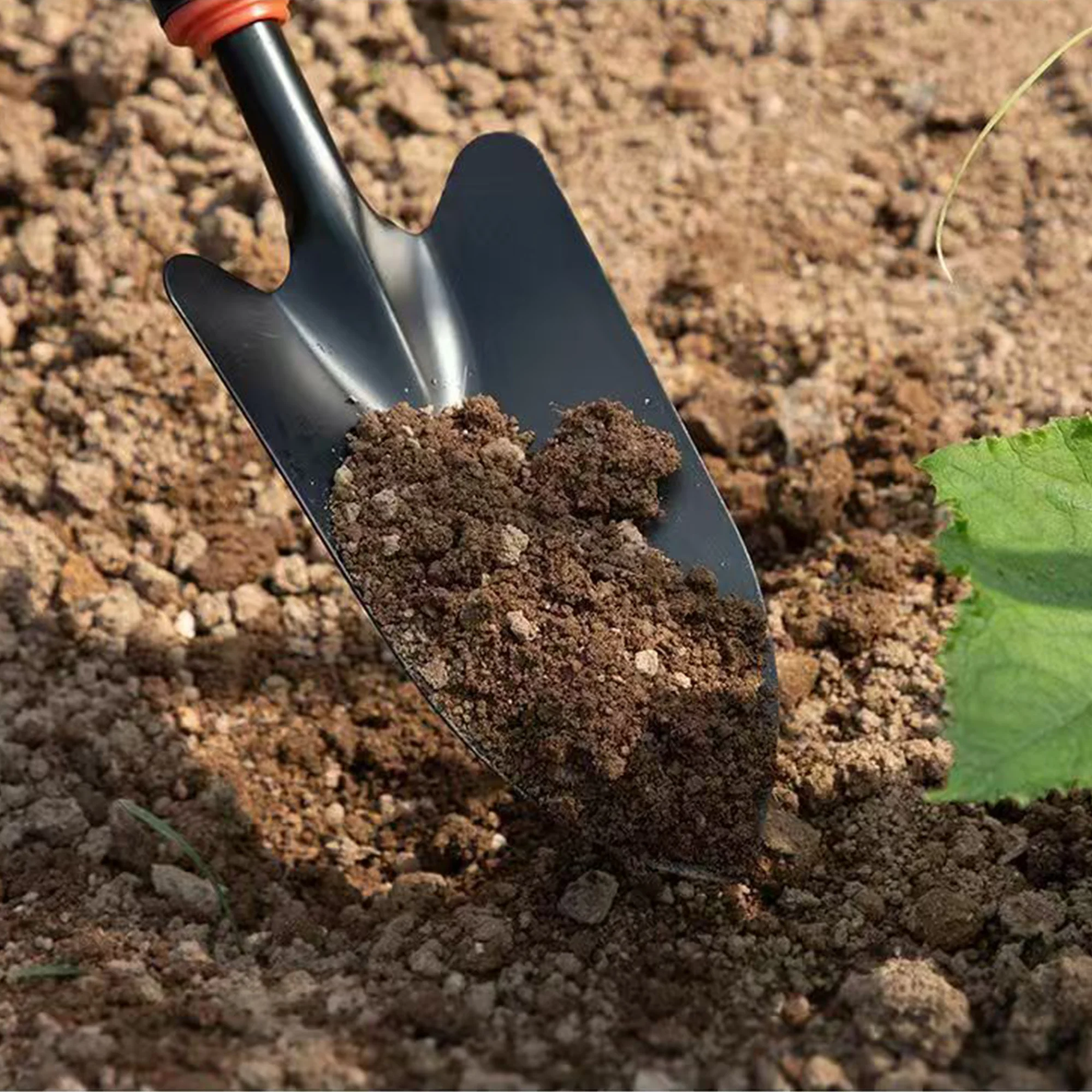 Hardened carbon steel garden shovels/hoes/rakes etc. are multifunctional hand tools suitable for planting flowers and vegetables
Hardened carbon steel garden shovels/hoes/rakes etc. are multifunctional hand tools suitable for planting flowers and vegetables