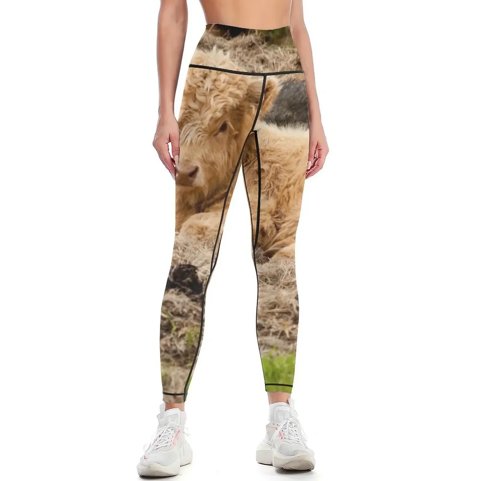 Highland Calf Leggings for girls Sports female sport pants gym clothing Womens Leggings
Highland Calf Leggings for girls Sports female sport pants gym clothing Womens Leggings