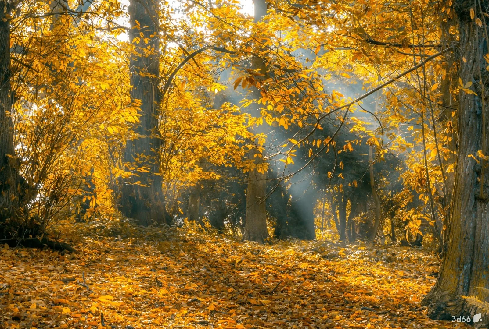 Обои на заказ с ручной росписью: лесной пейзаж, дикорастущие растения, желтые листья, декор с изображением больших деревьев.
Обои на заказ с ручной росписью: лесной пейзаж, дикорастущие растения, желтые листья, декор с изображением больших деревьев.