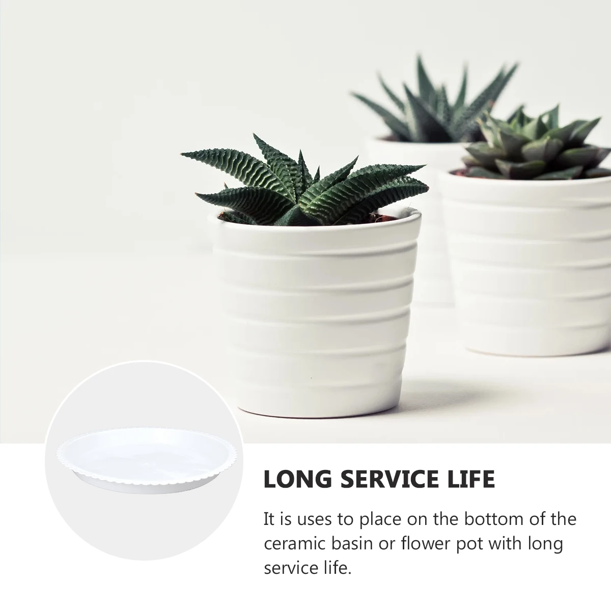 5Pcs Plastic Bonsai Saucers Sturdy Round Plant Trays 26x26cm White Moisture Control Garden Accessory Bonsai Tree Holder
5Pcs Plastic Bonsai Saucers Sturdy Round Plant Trays 26x26cm White Moisture Control Garden Accessory Bonsai Tree Holder