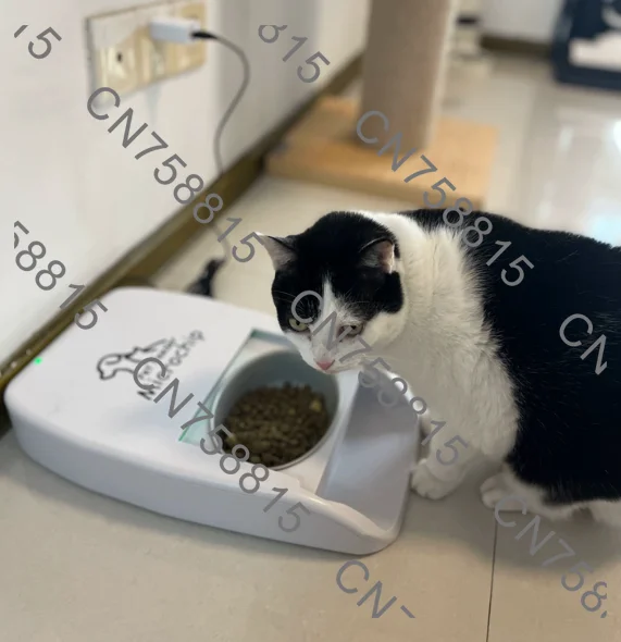 Cat and dog microchip induction feeder, pet animal feeder, microchip intelligent stable feeding intelligent pet feeder
Cat and dog microchip induction feeder, pet animal feeder, microchip intelligent stable feeding intelligent pet feeder