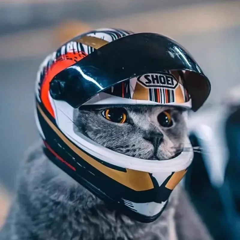 Cat Motorcycle Helmet, Special Pet Motorcycle Helmet for Cats and Dogs, A Cool Mini Motorcycle Hat, A Safety Helmet
Cat Motorcycle Helmet, Special Pet Motorcycle Helmet for Cats and Dogs, A Cool Mini Motorcycle Hat, A Safety Helmet