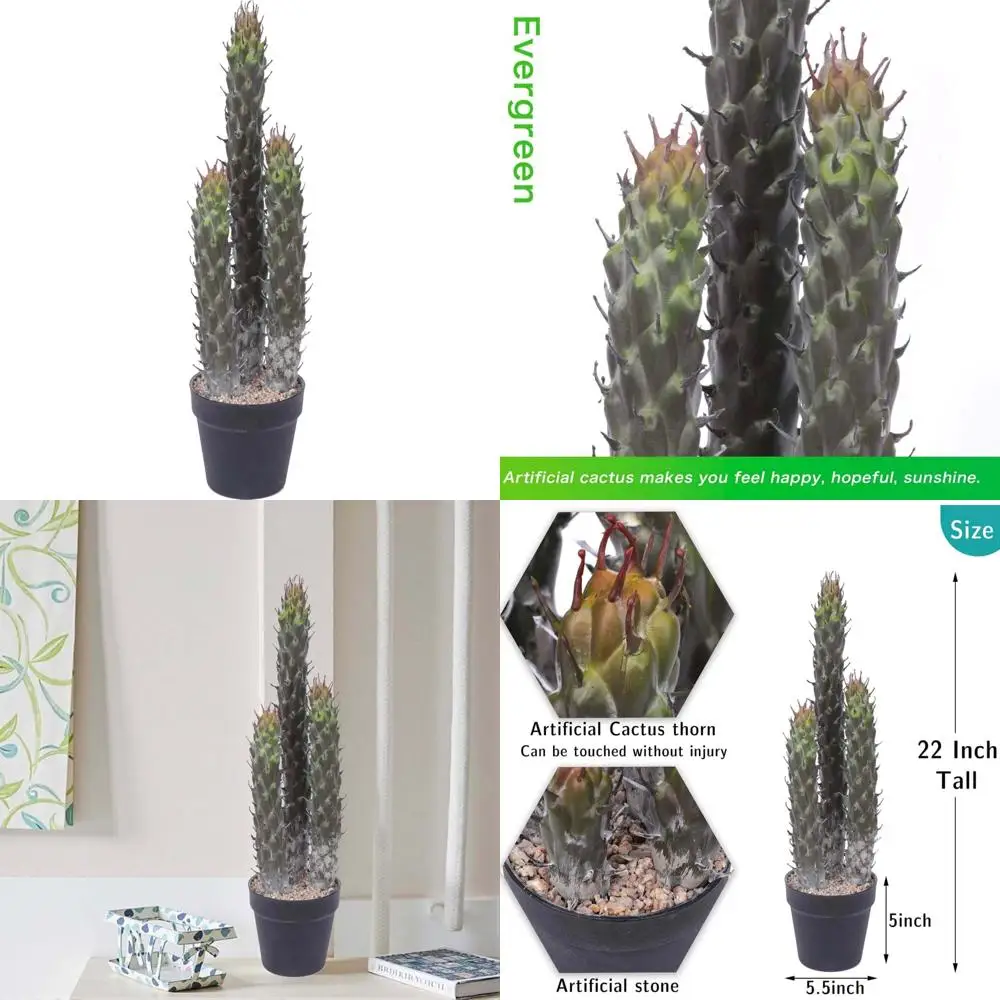 22 Inch Tall Artificial Cactus - Lifelike Faux Plant for Home, Garden, Store, and Office Floor Decor
22 Inch Tall Artificial Cactus - Lifelike Faux Plant for Home, Garden, Store, and Office Floor Decor