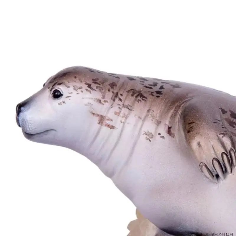 Seal Nemo Zoo Growth Companion Model 14 Growth Cognitive Toy Collection Ornament Model Handmade Birthday Gift
Seal Nemo Zoo Growth Companion Model 14 Growth Cognitive Toy Collection Ornament Model Handmade Birthday Gift