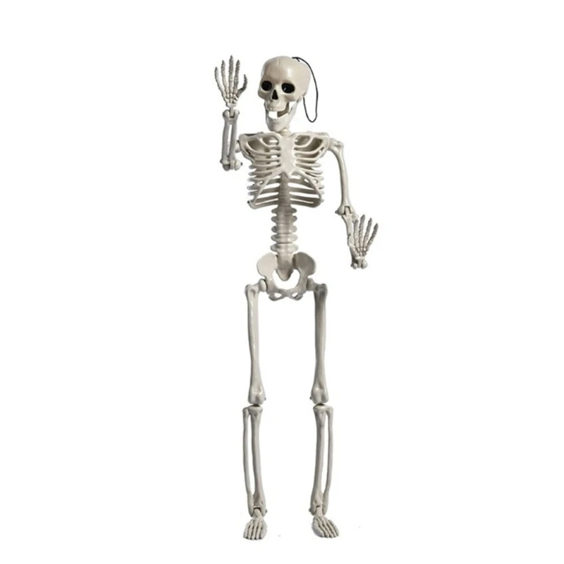 Halloween Skeleton Decorations Full Body Plastic Mini Little Skeleton Posable Joints for Skeleton Halloween Party Hangs T21C
Halloween Skeleton Decorations Full Body Plastic Mini Little Skeleton Posable Joints for Skeleton Halloween Party Hangs T21C