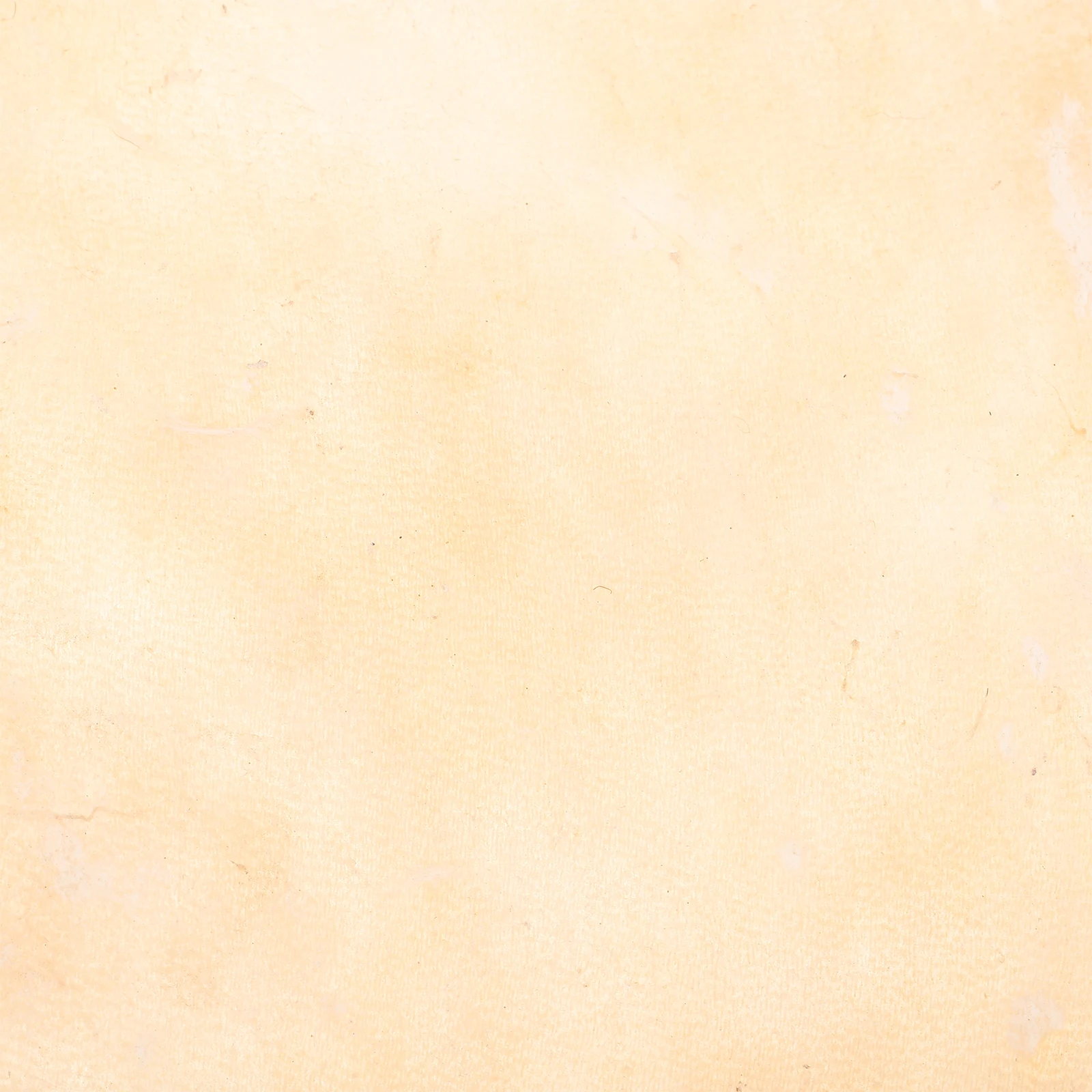 African Drum Goatskin Skin Replacement Durable Doumbek Drum Head Cover for Percussion Drums Percussion Part Replacements
African Drum Goatskin Skin Replacement Durable Doumbek Drum Head Cover for Percussion Drums Percussion Part Replacements