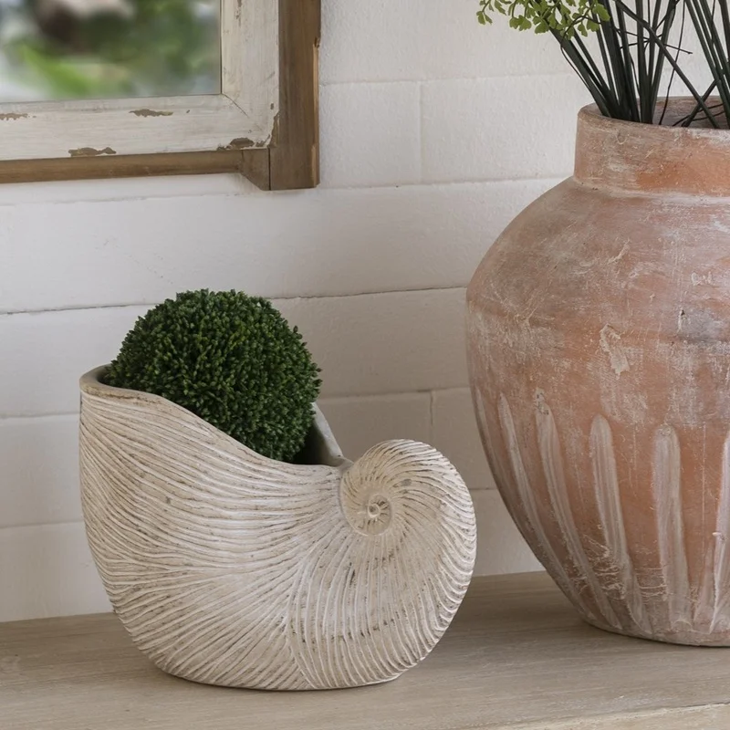 8.5x5.5x6.3 Inch Textured Beige Sand Cement Nautilus Shell Planter
8.5x5.5x6.3 Inch Textured Beige Sand Cement Nautilus Shell Planter