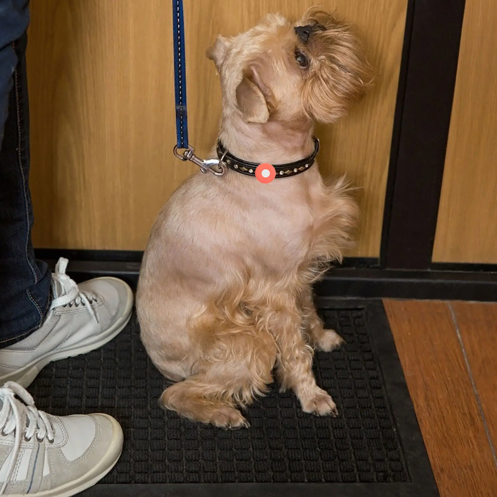 2 шт. защитных силиконовых чехлов-держателей для портативных устройств, уличные, с защитой от потери, для отслеживания, надежные держатели
2 шт. защитных силиконовых чехлов-держателей для портативных устройств, уличные, с защитой от потери, для отслеживания, надежные держатели