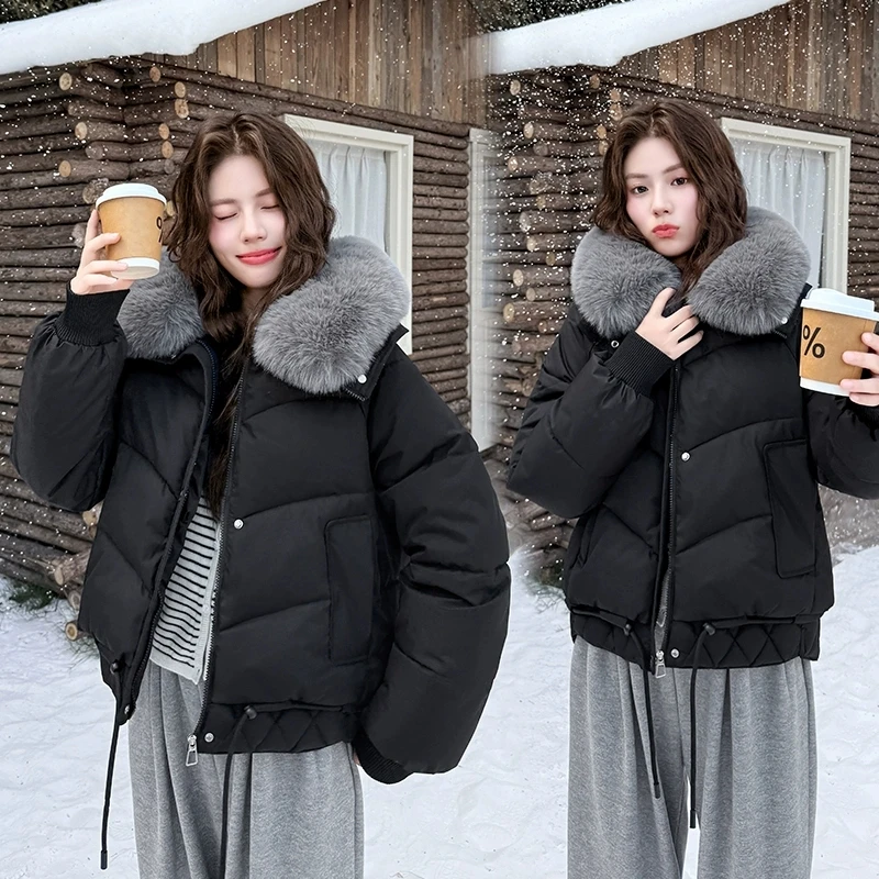 Короткое пуховое хлопковое пальто, женские парки с большим меховым воротником, зимняя куртка 2026, свободная утепленная теплая студенческая повседневная верхняя одежда, женские топы
Короткое пуховое хлопковое пальто, женские парки с большим меховым воротником, зимняя куртка 2026, свободная утепленная теплая студенческая повседневная верхняя одежда, женские топы