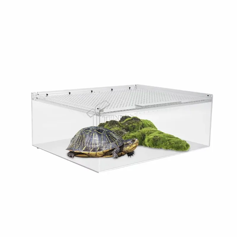 Wholesale Custom Acrylic Reptile Terrarium Tank Insect Container Magnetic Sliding Lid Acrylic Reptile Terrarium Tank
Wholesale Custom Acrylic Reptile Terrarium Tank Insect Container Magnetic Sliding Lid Acrylic Reptile Terrarium Tank