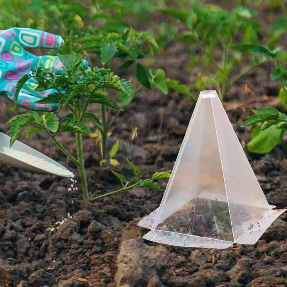 Pvc Plant Cover Garden Cloches for Plants Reusable Ventilated Plant Cloches with Metal Stakes Mini Greenhouse for Seedlings
Pvc Plant Cover Garden Cloches for Plants Reusable Ventilated Plant Cloches with Metal Stakes Mini Greenhouse for Seedlings