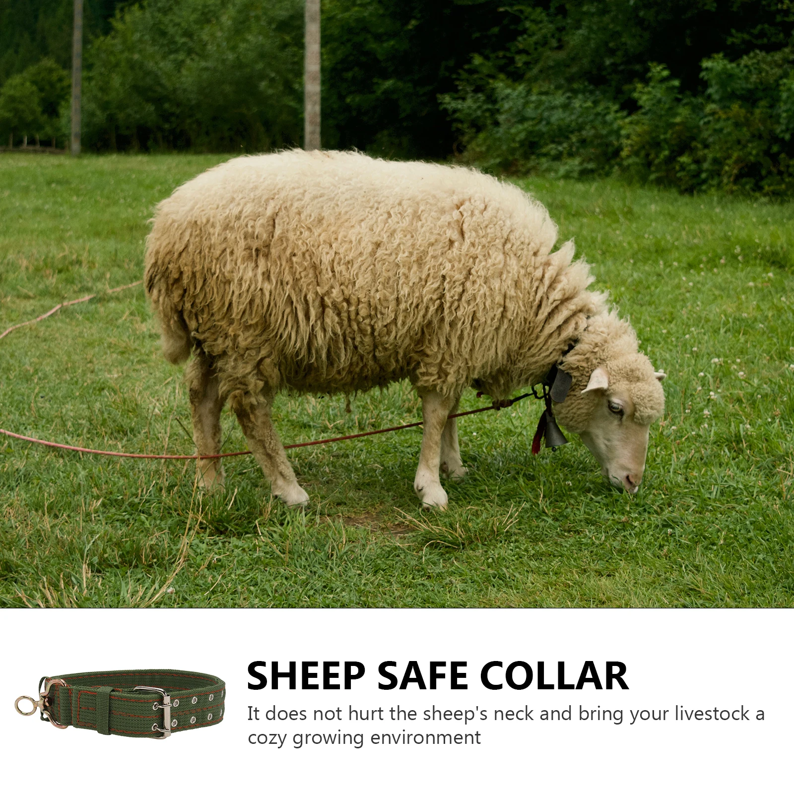 Sheep Neck Collar Livestock Goat Thickened Cow Collars Durable Canvas Explosion Buckle Safe Sheep Traction Rope Cattle Supply
Sheep Neck Collar Livestock Goat Thickened Cow Collars Durable Canvas Explosion Buckle Safe Sheep Traction Rope Cattle Supply