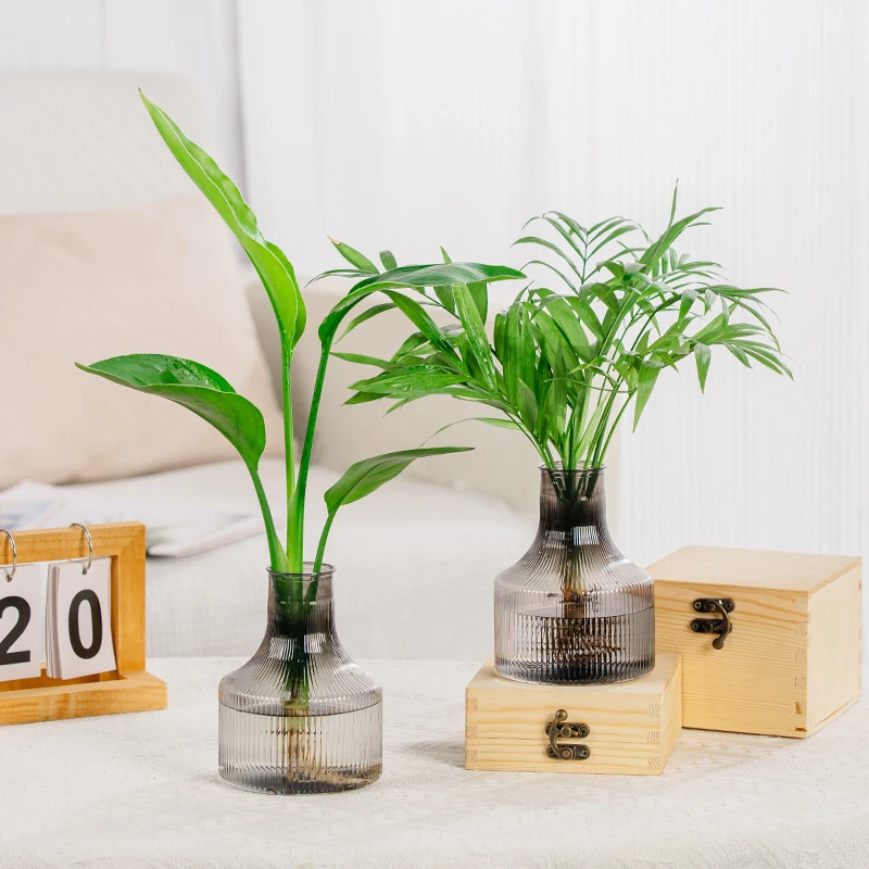 Hydroponic Flower Pot Home Vase Decoration Transparent Plastic Soilless Pot Green Pot Home Decoration
Hydroponic Flower Pot Home Vase Decoration Transparent Plastic Soilless Pot Green Pot Home Decoration