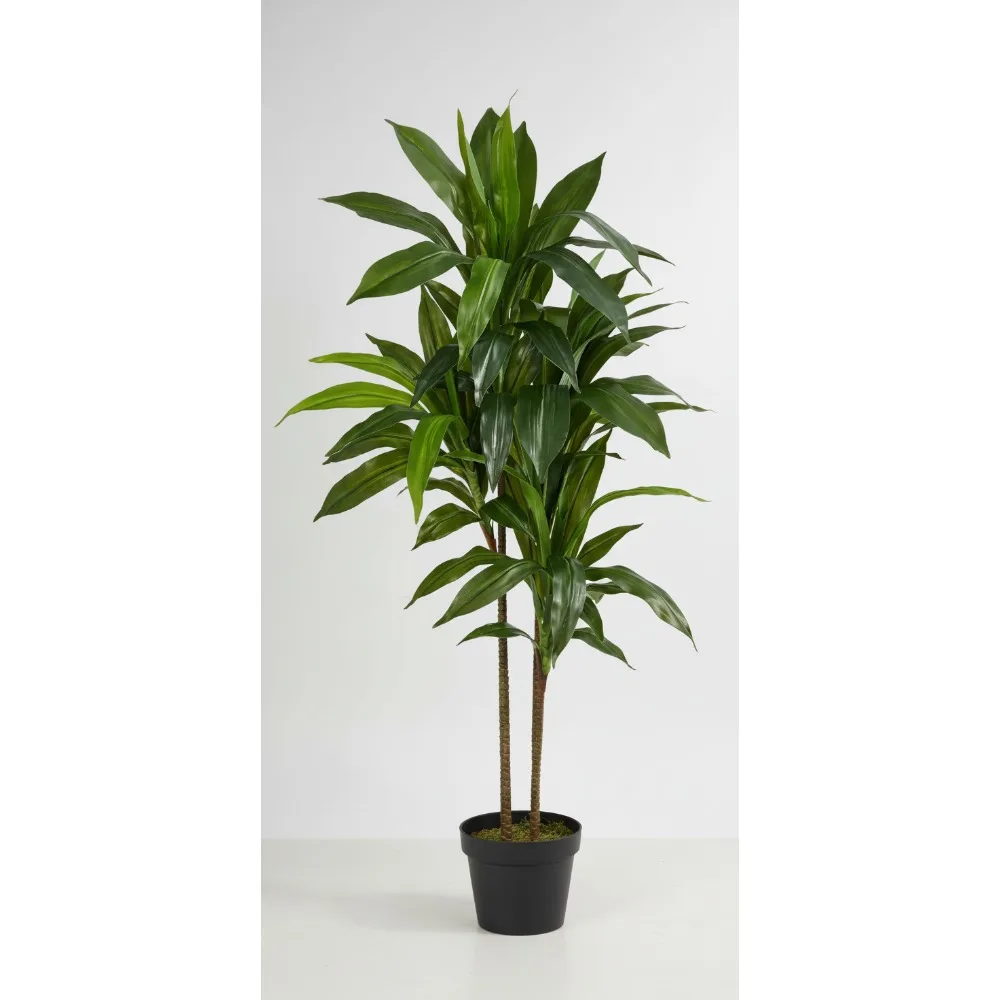 48 дюймов Real Touch Dracaena шелковое растение искусственный зеленый декор для дома и офиса реалистичное искусственное дерево
48 дюймов Real Touch Dracaena шелковое растение искусственный зеленый декор для дома и офиса реалистичное искусственное дерево