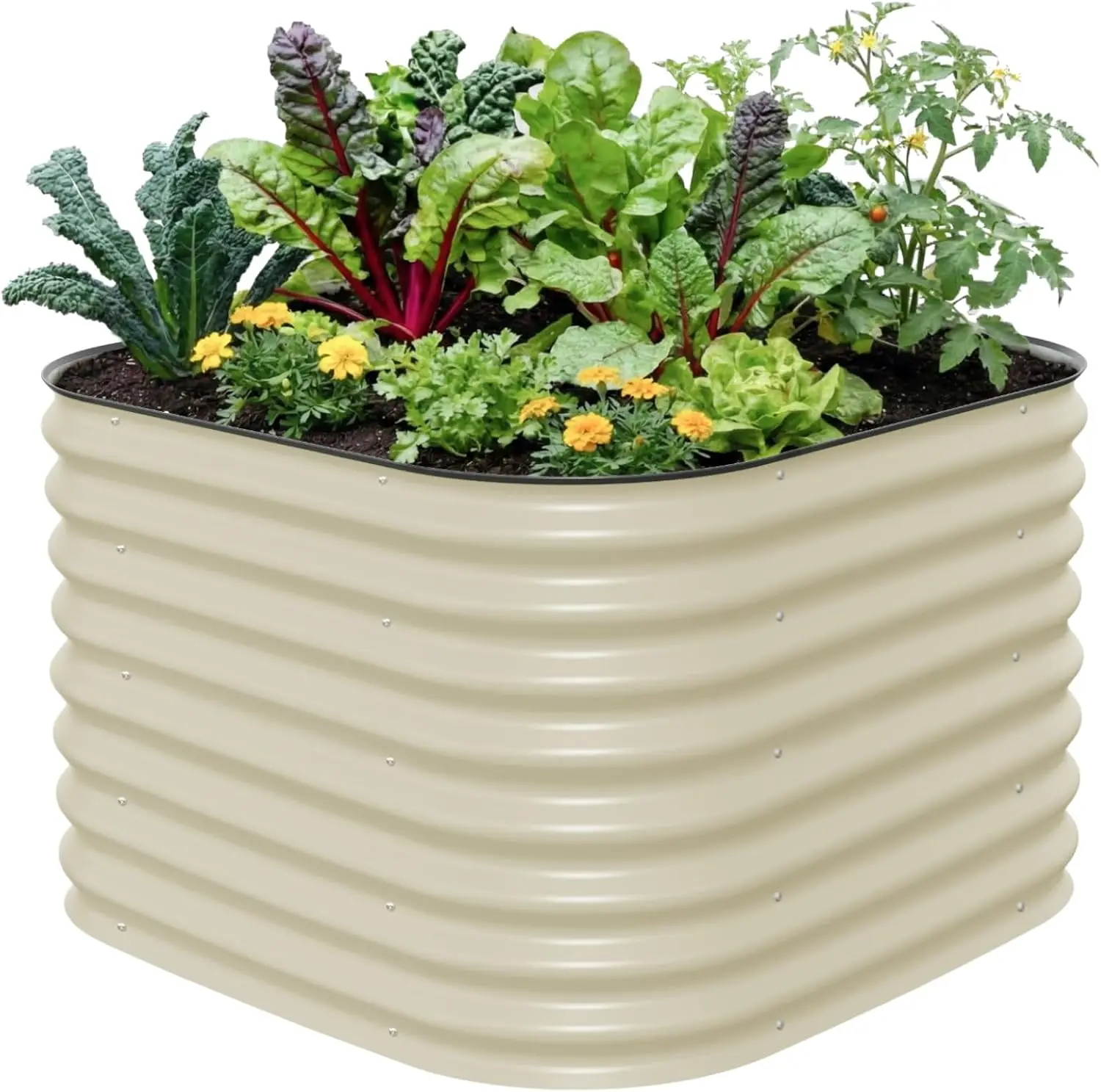 26" Extra Tall Raised Garden Bed Kits, 4 in 1 Modular Raised Planter Box for Vegetables Flowers Fruits Oval Metal Raised
26" Extra Tall Raised Garden Bed Kits, 4 in 1 Modular Raised Planter Box for Vegetables Flowers Fruits Oval Metal Raised