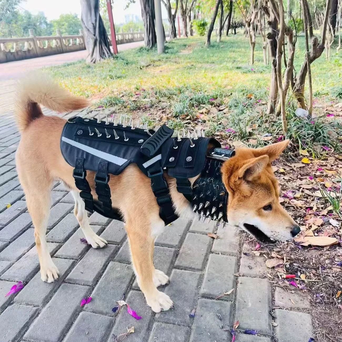 Heavy-Duty Tactical Dog Harness with Reflective Strip Anti-Harassment Adjustable Protective for Adventure Training
Heavy-Duty Tactical Dog Harness with Reflective Strip Anti-Harassment Adjustable Protective for Adventure Training