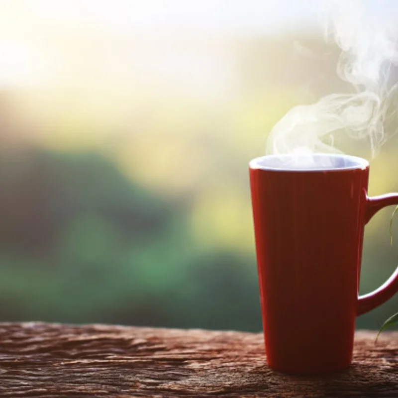 43T 10T Steel Front Rear Differential Set ARA310990 for ARRMA1/8 KRATON V5 V6 1/7 BIG ROCK MOJAVE EXB Upgrade Parts
43T 10T Steel Front Rear Differential Set ARA310990 for ARRMA1/8 KRATON V5 V6 1/7 BIG ROCK MOJAVE EXB Upgrade Parts