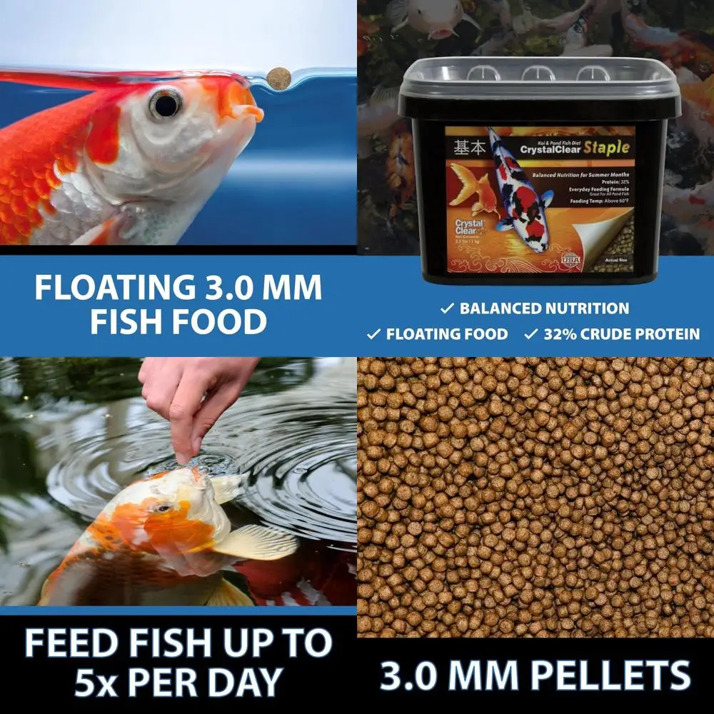 Staple Pond Fish Food for Healthy Koi & Goldfish, Protein Packed Floating Pellets for Summer Nutrition, Easy Digestion, 8.8 Poun
Staple Pond Fish Food for Healthy Koi & Goldfish, Protein Packed Floating Pellets for Summer Nutrition, Easy Digestion, 8.8 Poun