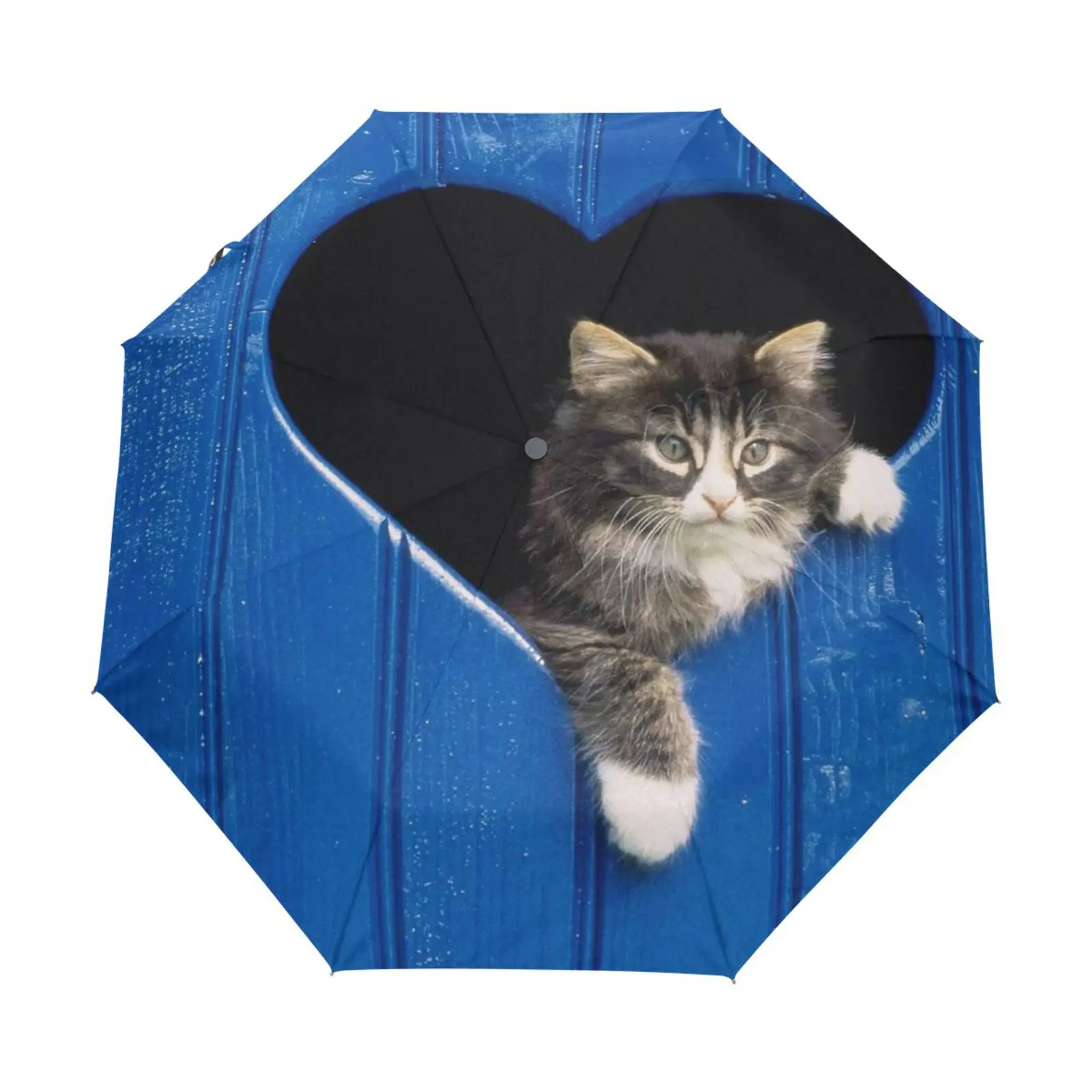 Black Cat Travel Umbrella Male Fashion Creative Automatic Three Folding Umbrella Parasol Portable Women's Rain Umbrella 8 Ribs
Black Cat Travel Umbrella Male Fashion Creative Automatic Three Folding Umbrella Parasol Portable Women's Rain Umbrella 8 Ribs