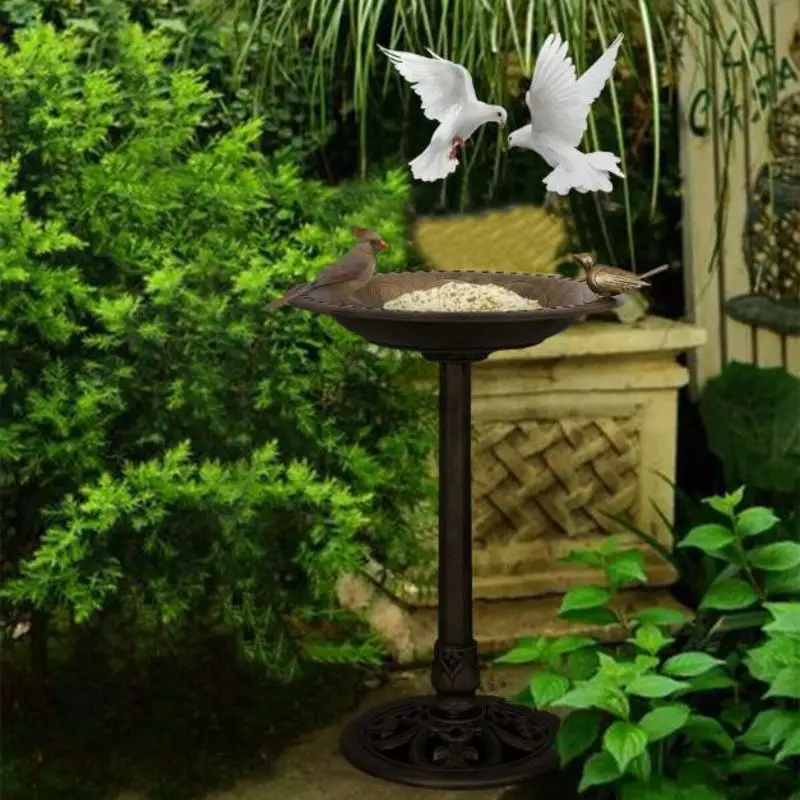 Antique Gold Freestanding Pedestal Bird Bath Feeder
Antique Gold Freestanding Pedestal Bird Bath Feeder