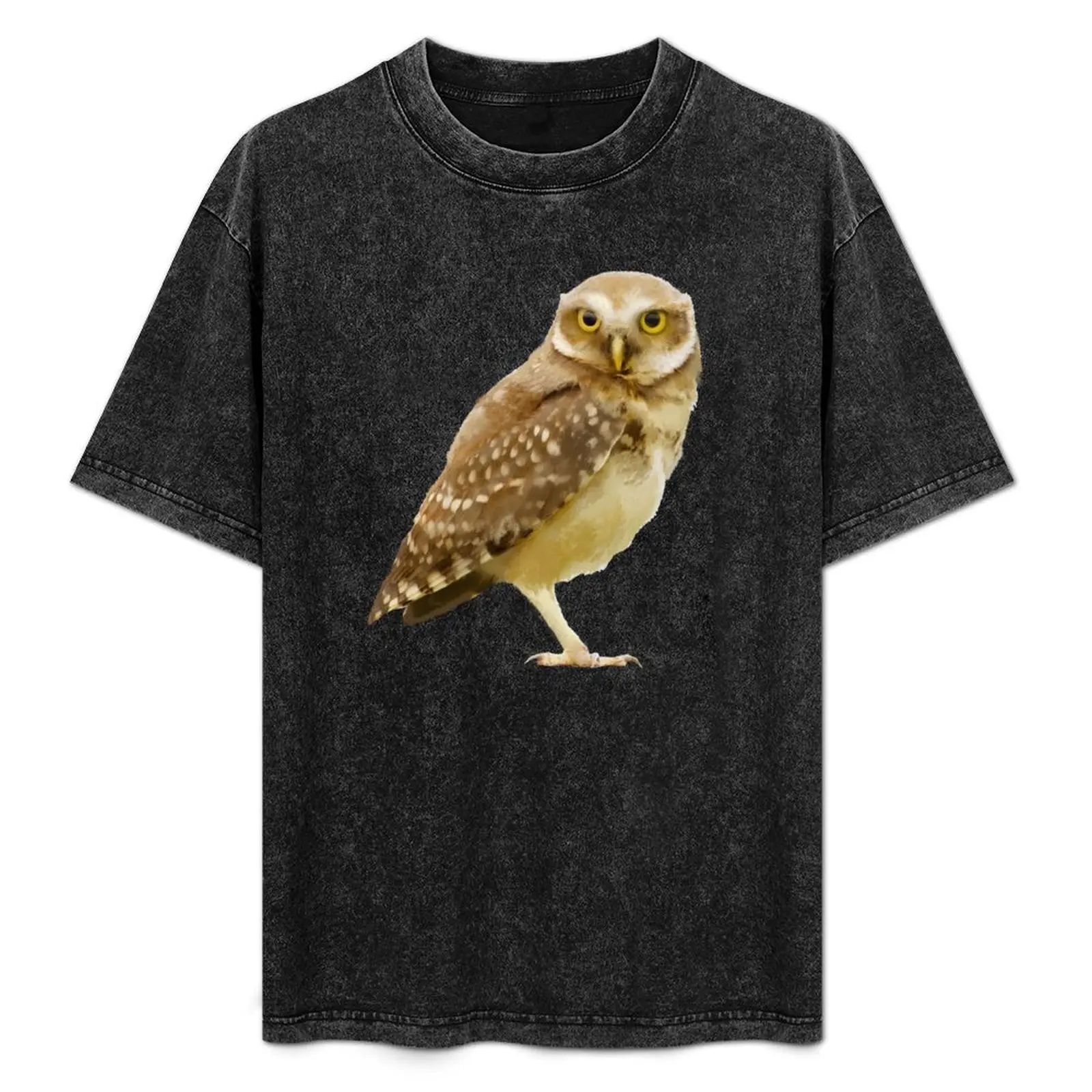 Owl Burrowing Owl Birds Owls Hoot Owl Painting T-Shirt Soft Cotton Print T-Shirt
Owl Burrowing Owl Birds Owls Hoot Owl Painting T-Shirt Soft Cotton Print T-Shirt
