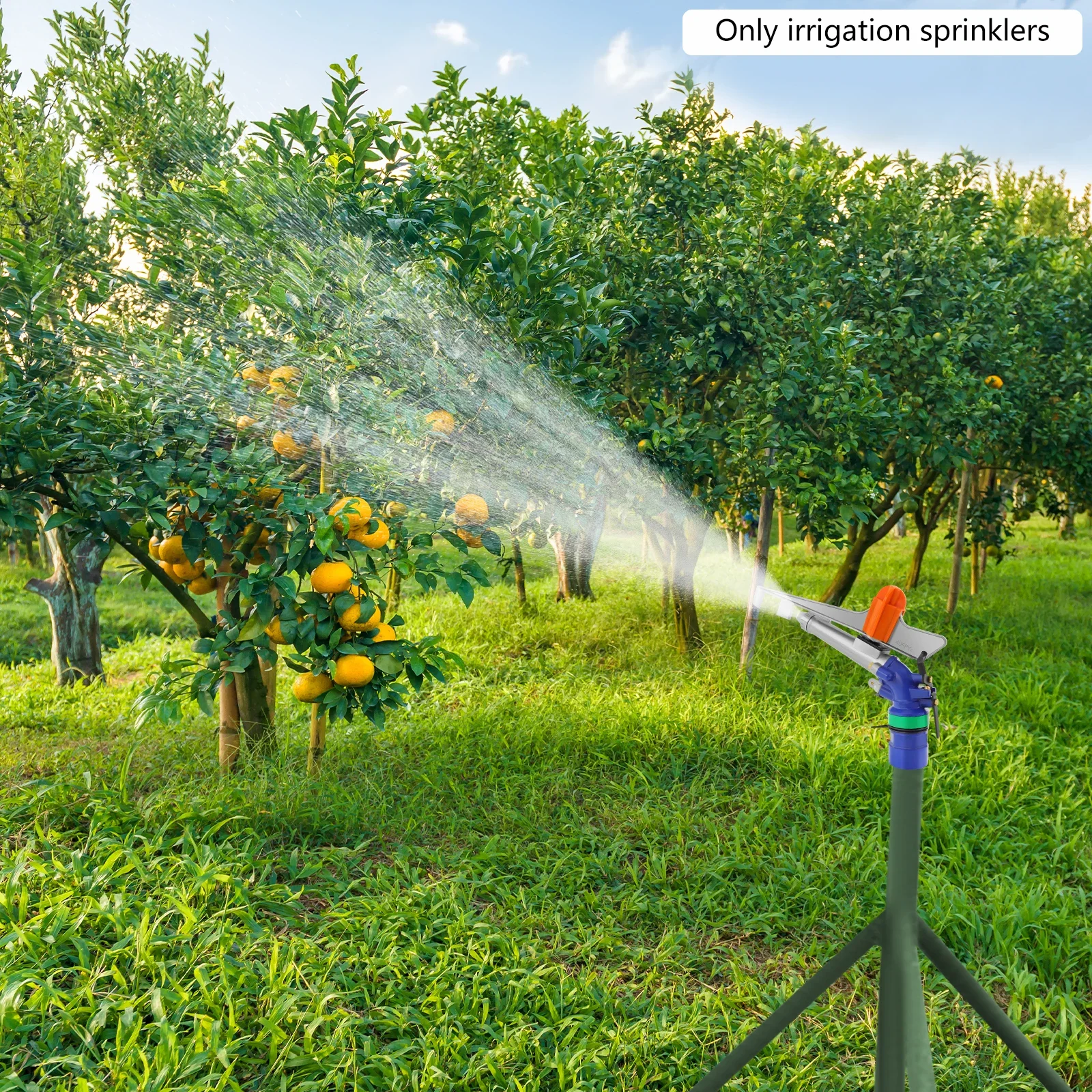 Irrigation Spray Gun, 2.62 Inch Irrigation Nozzle, 50-65m Range, 14.3-16.5 m³/H Farm Irrigation Sprinkler for Lawn Orchard Field
Irrigation Spray Gun, 2.62 Inch Irrigation Nozzle, 50-65m Range, 14.3-16.5 m³/H Farm Irrigation Sprinkler for Lawn Orchard Field