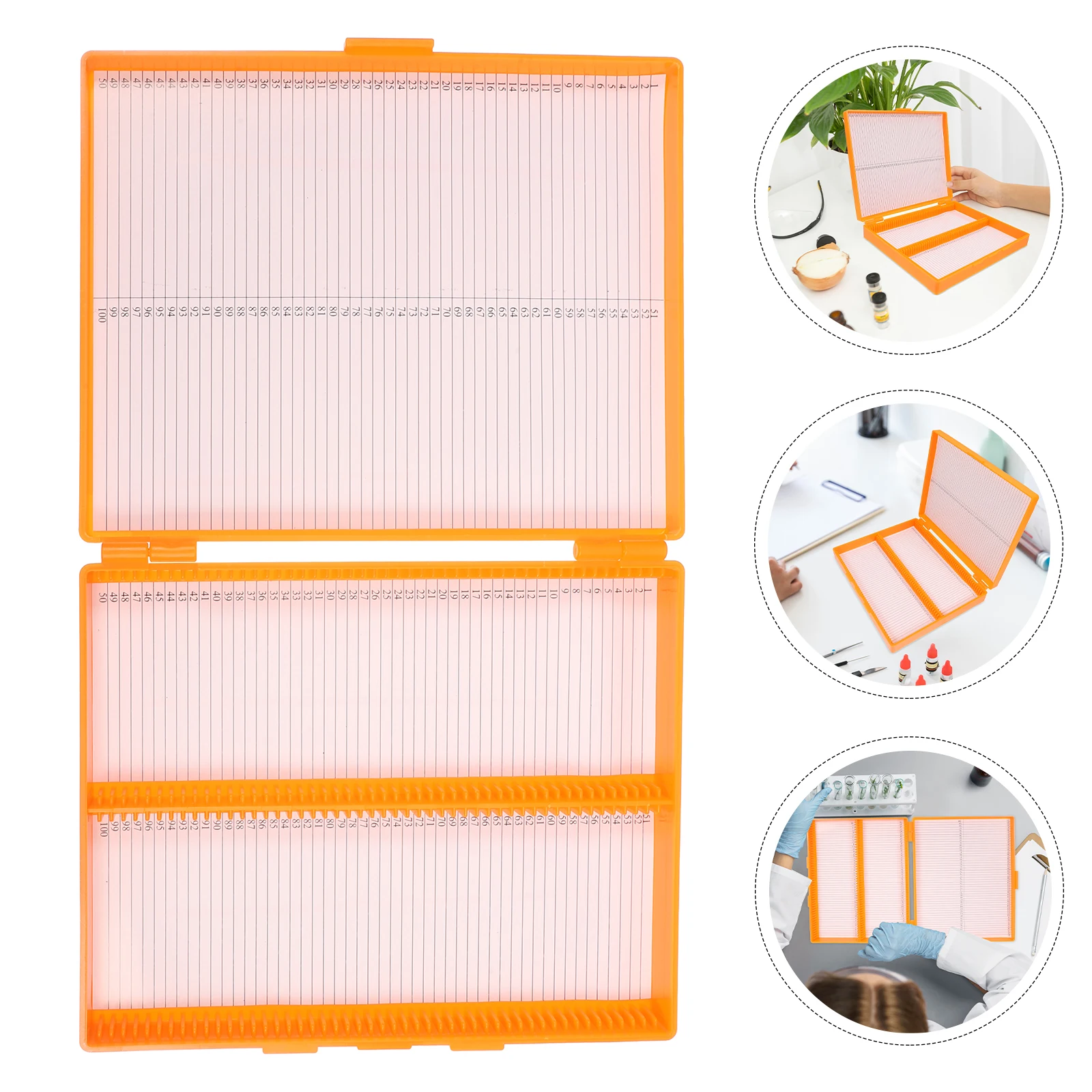 Microscope Slide Storage 100 Slides Waterproof Compact Design Transparent Lid Efficient Organization Lab Classroom
Microscope Slide Storage 100 Slides Waterproof Compact Design Transparent Lid Efficient Organization Lab Classroom