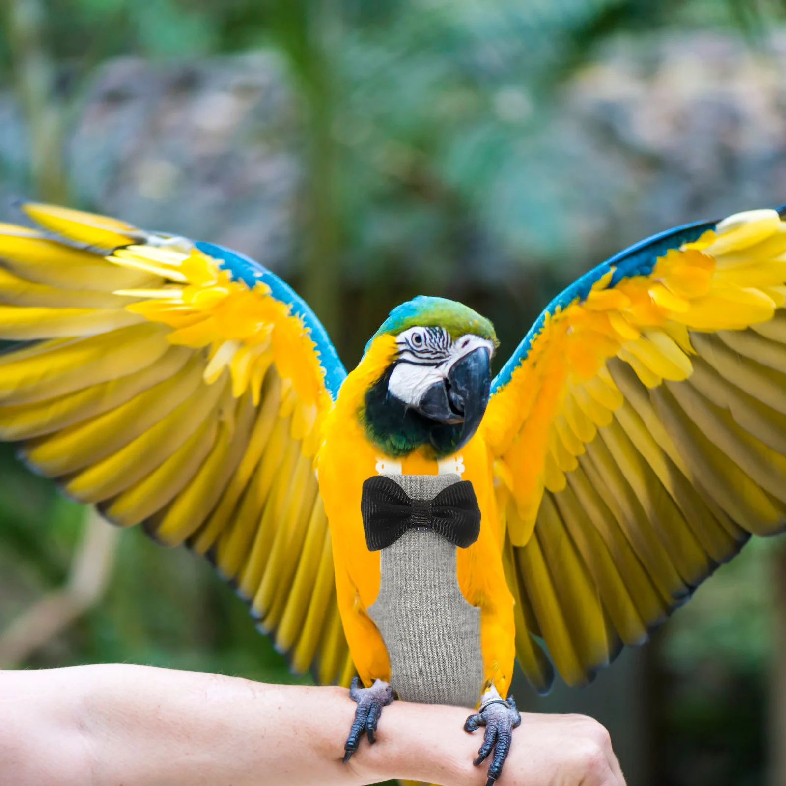 Creative Stylish Bird Diaper Costume Comfortable Non-Toxic Pet Bird Clothing for Parakeet Cockatiel Reusable Easy Clean
Creative Stylish Bird Diaper Costume Comfortable Non-Toxic Pet Bird Clothing for Parakeet Cockatiel Reusable Easy Clean