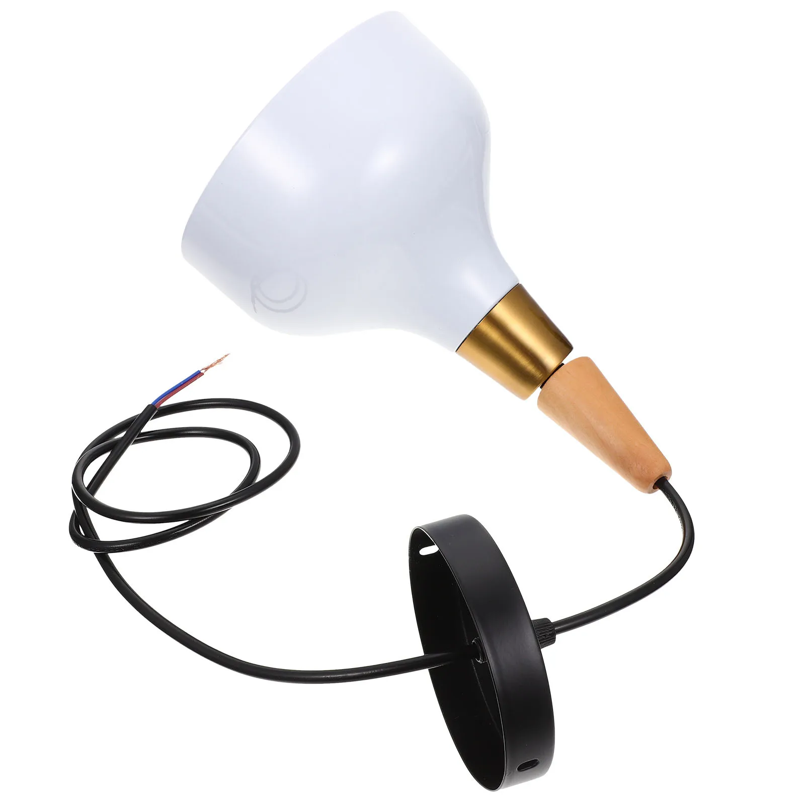 Modern Metal Ceiling Lamp Chic Single Head Pendant Light for Indoor Dining Table Hallway Decor Single Head Ceiling Light
Modern Metal Ceiling Lamp Chic Single Head Pendant Light for Indoor Dining Table Hallway Decor Single Head Ceiling Light