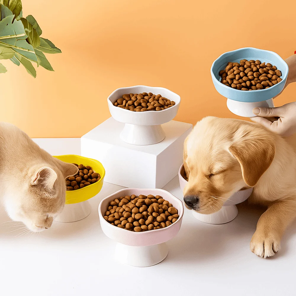 Ceramic Cat Slow Food Bowl Cute Anti Tipping Dog Feeding Basin Non-slip Multi-use Pet Drinking Feeder Water Container
Ceramic Cat Slow Food Bowl Cute Anti Tipping Dog Feeding Basin Non-slip Multi-use Pet Drinking Feeder Water Container