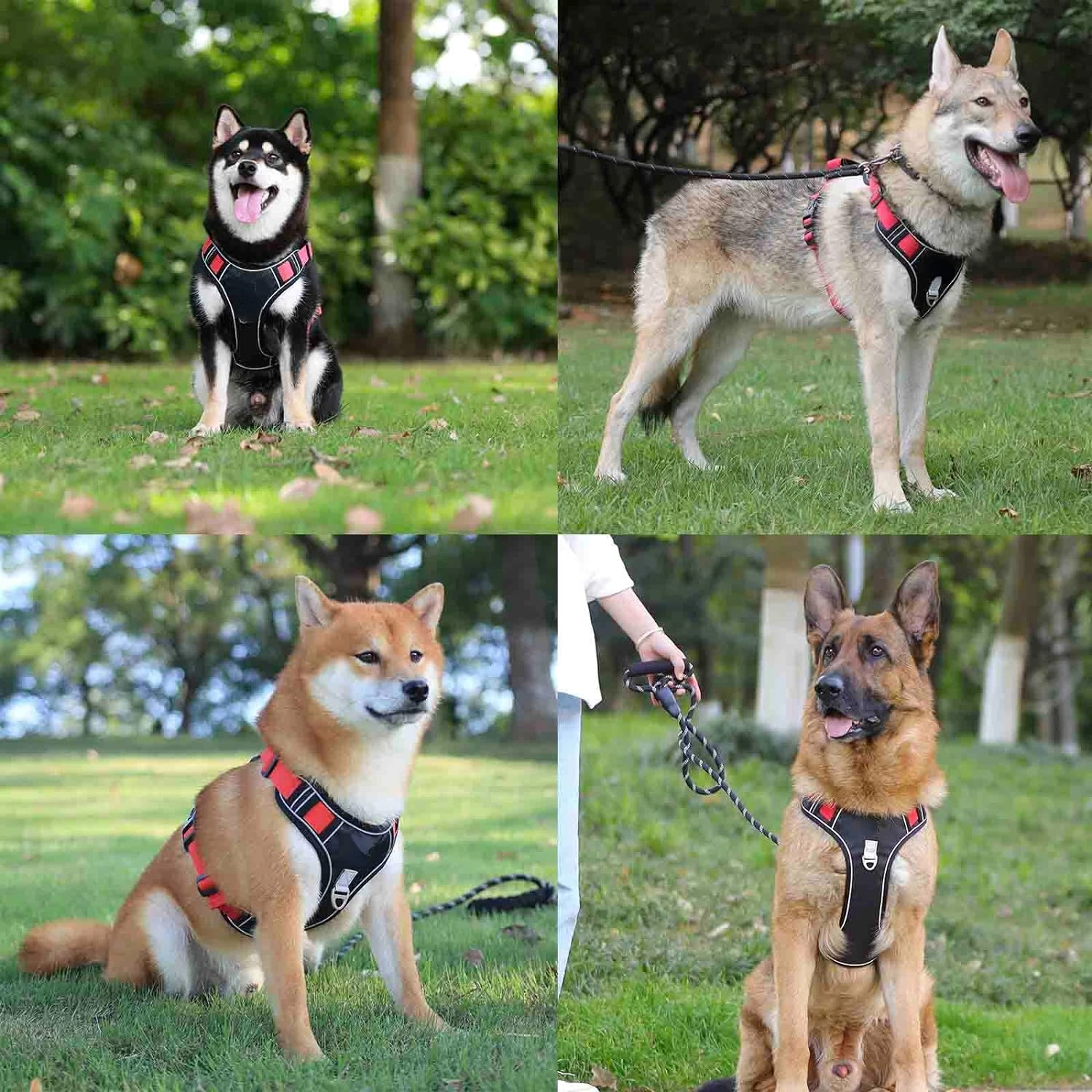 Comfortable Stylish Adjustable Red Dog Service Harness Vest with Handle, Ideal for Medium and Large Dogs - XS Collar Leash Inclu
Comfortable Stylish Adjustable Red Dog Service Harness Vest with Handle, Ideal for Medium and Large Dogs - XS Collar Leash Inclu